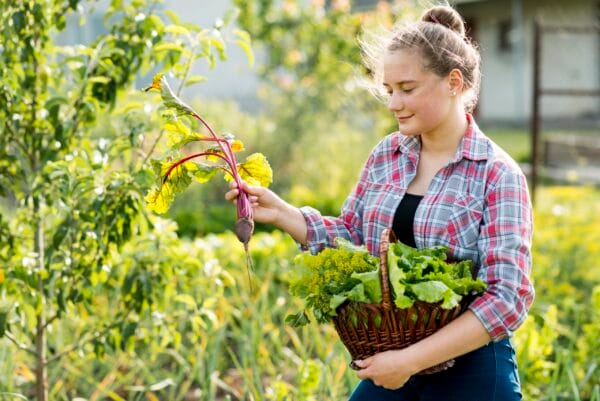 Seracılık Eğitimi Sertifikası