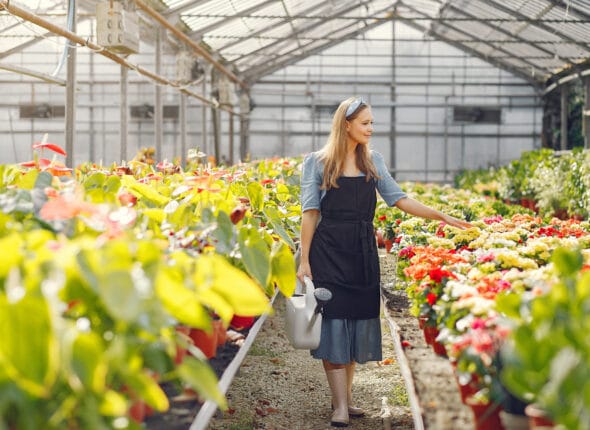 Sera Kurmak İçin Gerekli Belgeler