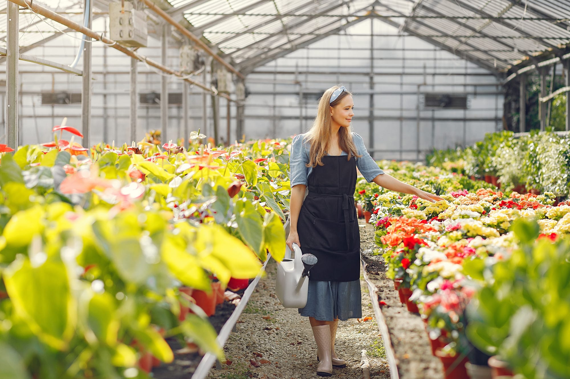 Sera Kurmak İçin Gerekli Belgeler