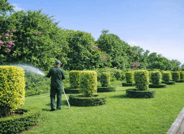 Peyzaj Sertifikası Nasıl Alınır