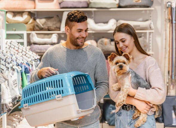 Petshop Sertifikası Nasıl Alınır