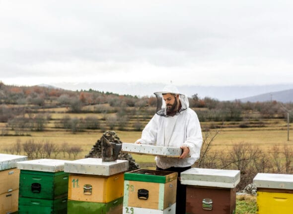 Arıcılık Belgesi Nereden Alınır
