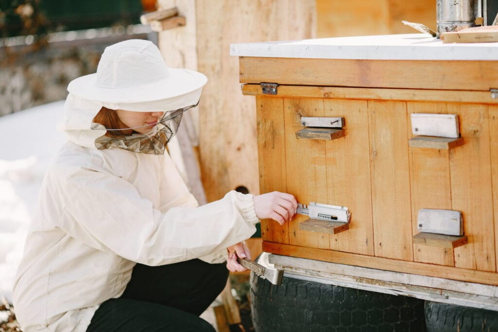 Arıcılık Sertifikası Nasıl Alınır